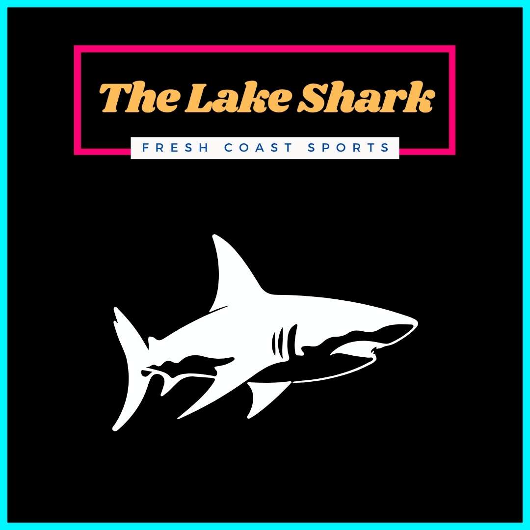 Sharks!