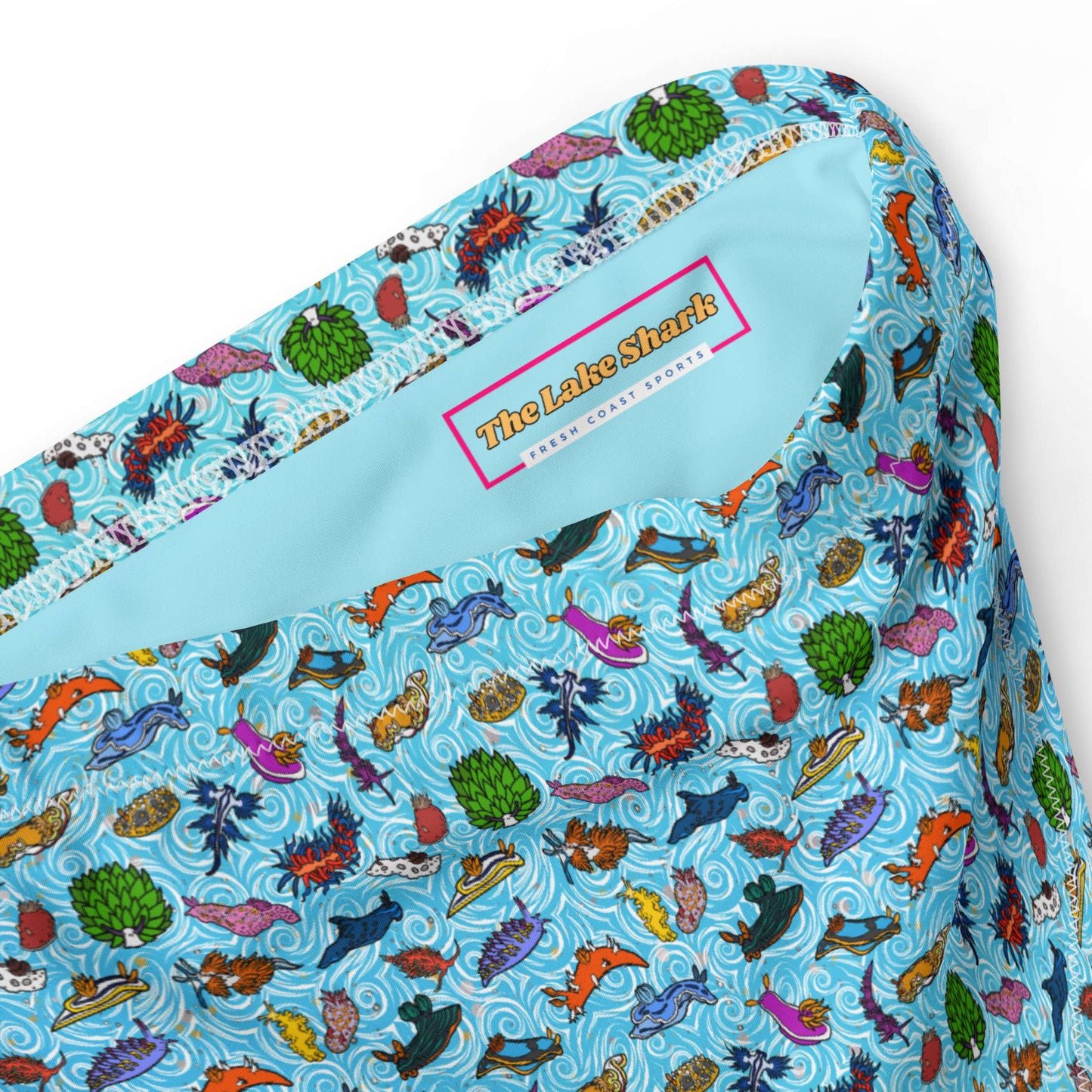 Nudibranch Sea Slugs: Bikini Bottom in Tropical Blue