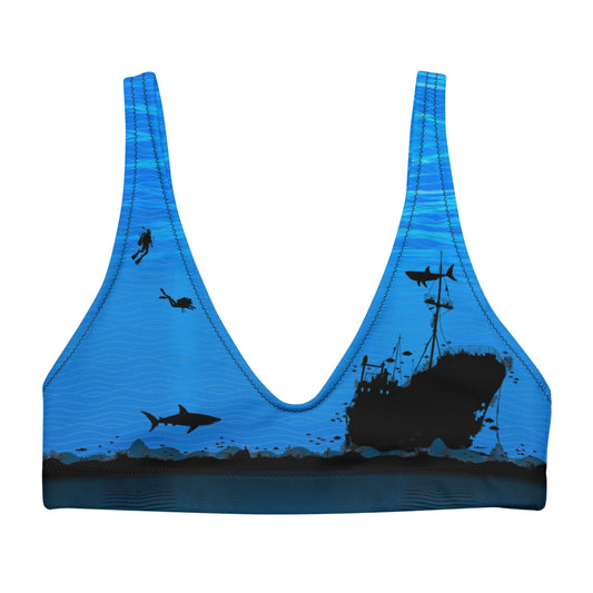 Get Wrecked! Shipwrecks, Sharks, & Scuba Diving: Bikini Top