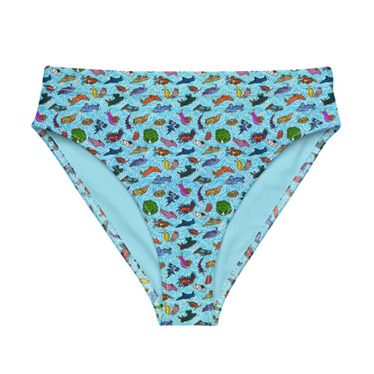 Nudibranch Sea Slugs: Bikini Bottom in Tropical Blue
