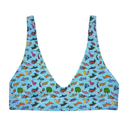 Nudibranch Sea Slugs: Bikini Top in Tropical Blue